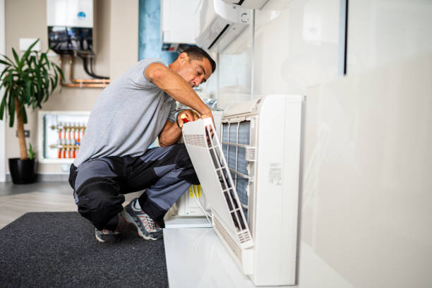 Best Air Duct Cleaning Company Near Me  in Twin Grove, IL