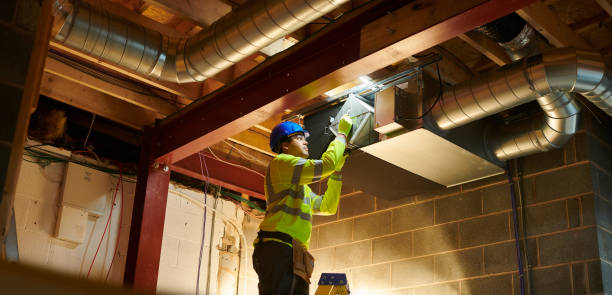 Best HVAC Duct Inspection Services  in Twin Grove, IL