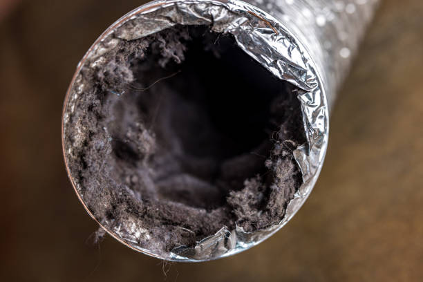 Best Air Duct Cleaning Near Me  in Twin Grove, IL